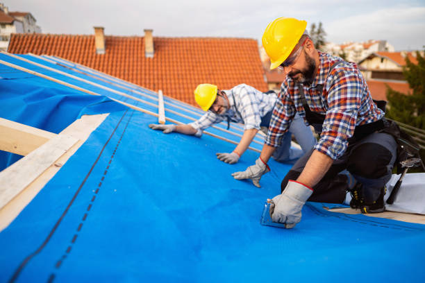 Best Flat Roof Repair Services  in Van Horn, TX