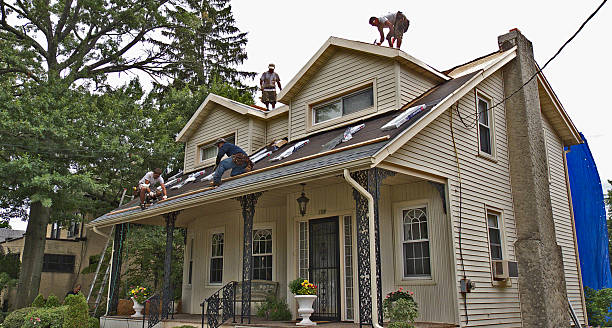 Best Roof Gutter Cleaning  in Van Horn, TX