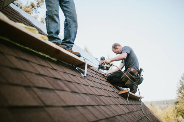 Best Roof Maintenance Services  in Van Horn, TX